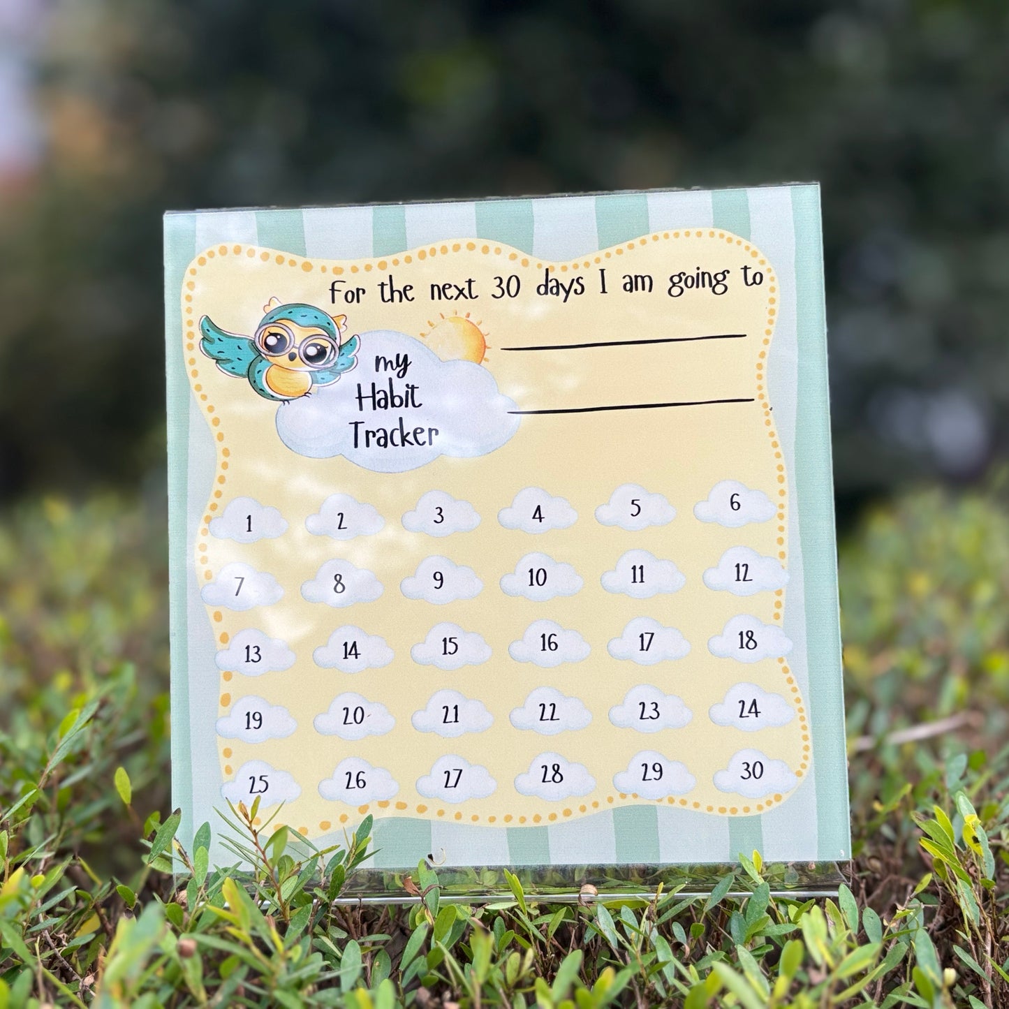 Whimsy’s Habit Tracker